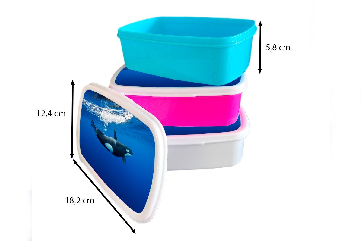 MuchoWow Lunchbox klaren im Brotbox Mädchen, für rosa Orca Wasser, Kunststoff Erwachsene, Kinder, (2-tlg), Brotdose Snackbox, Kunststoff