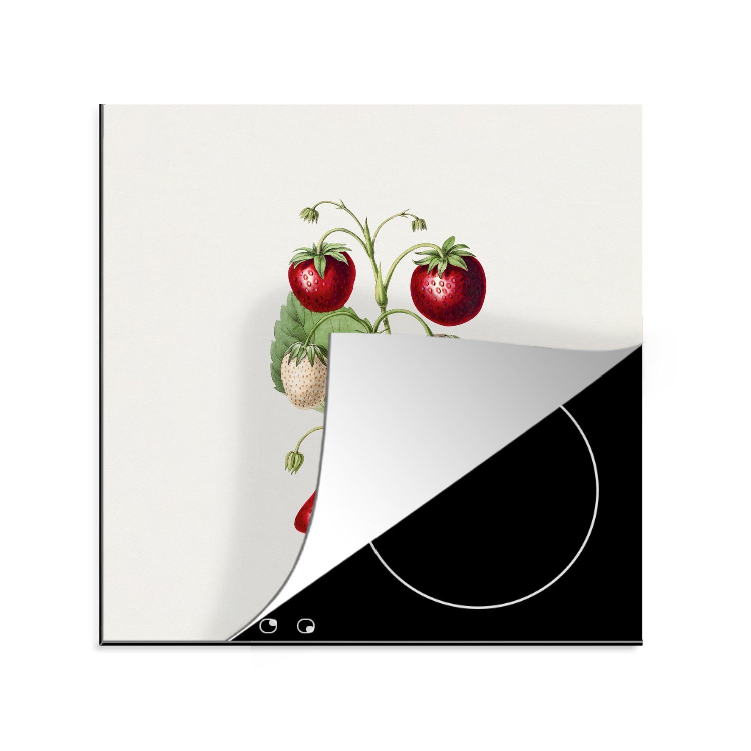 MuchoWow Herdblende-/Abdeckplatte Erdbeeren - tlg), Pflanze (1 Ceranfeldabdeckung, 78x78 cm, für Frucht, - küche Arbeitsplatte Vinyl