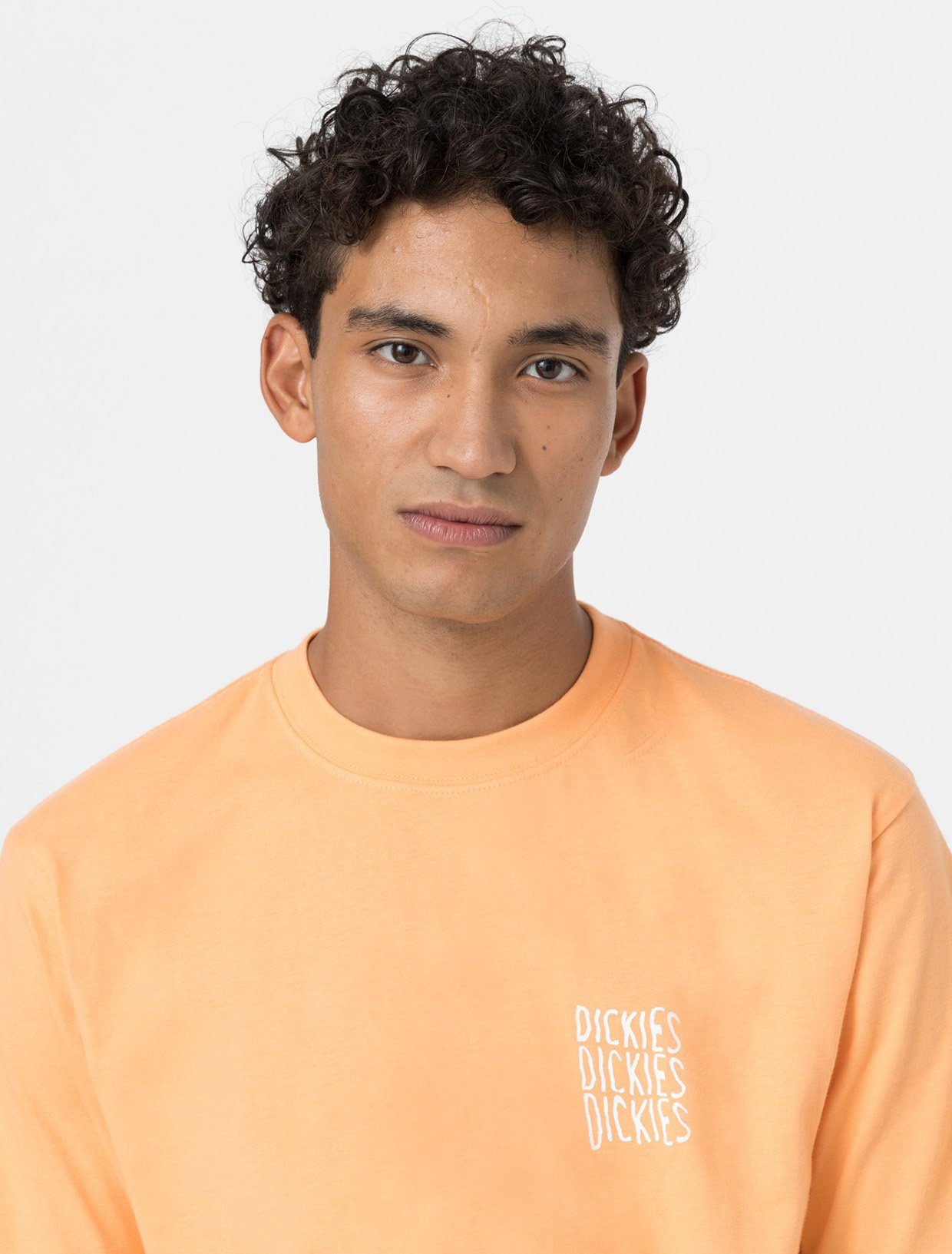 Dickies T-Shirt papaya Dickies smoothie Herren T-Shirt Adult Creswell