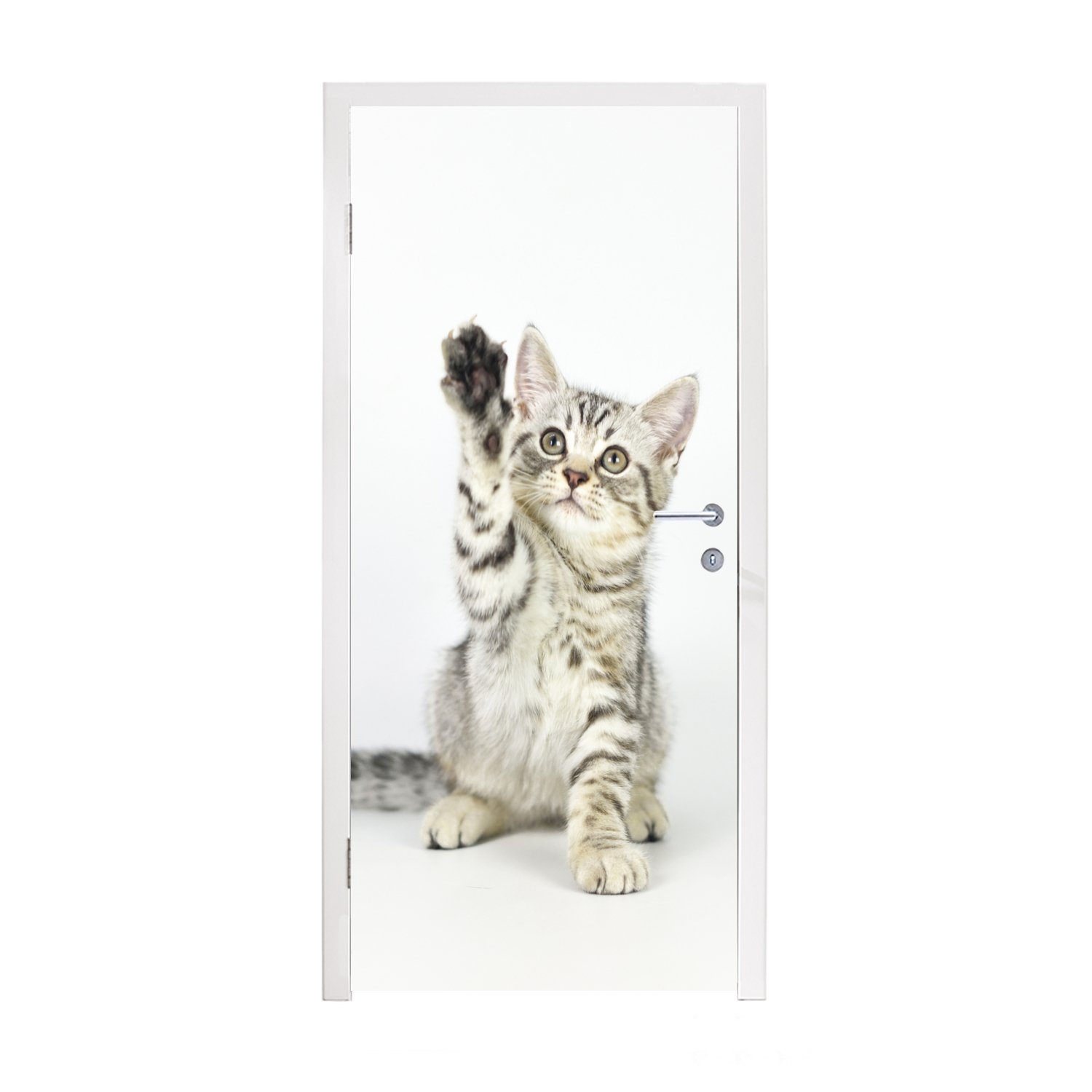 MuchoWow Türtapete Kätzchen - Pfote - Weiß - Mädchen - Kinder - Jungen - Kind, Matt, bedruckt, (1 St), Fototapete für Tür, Türaufkleber, 75x205 cm