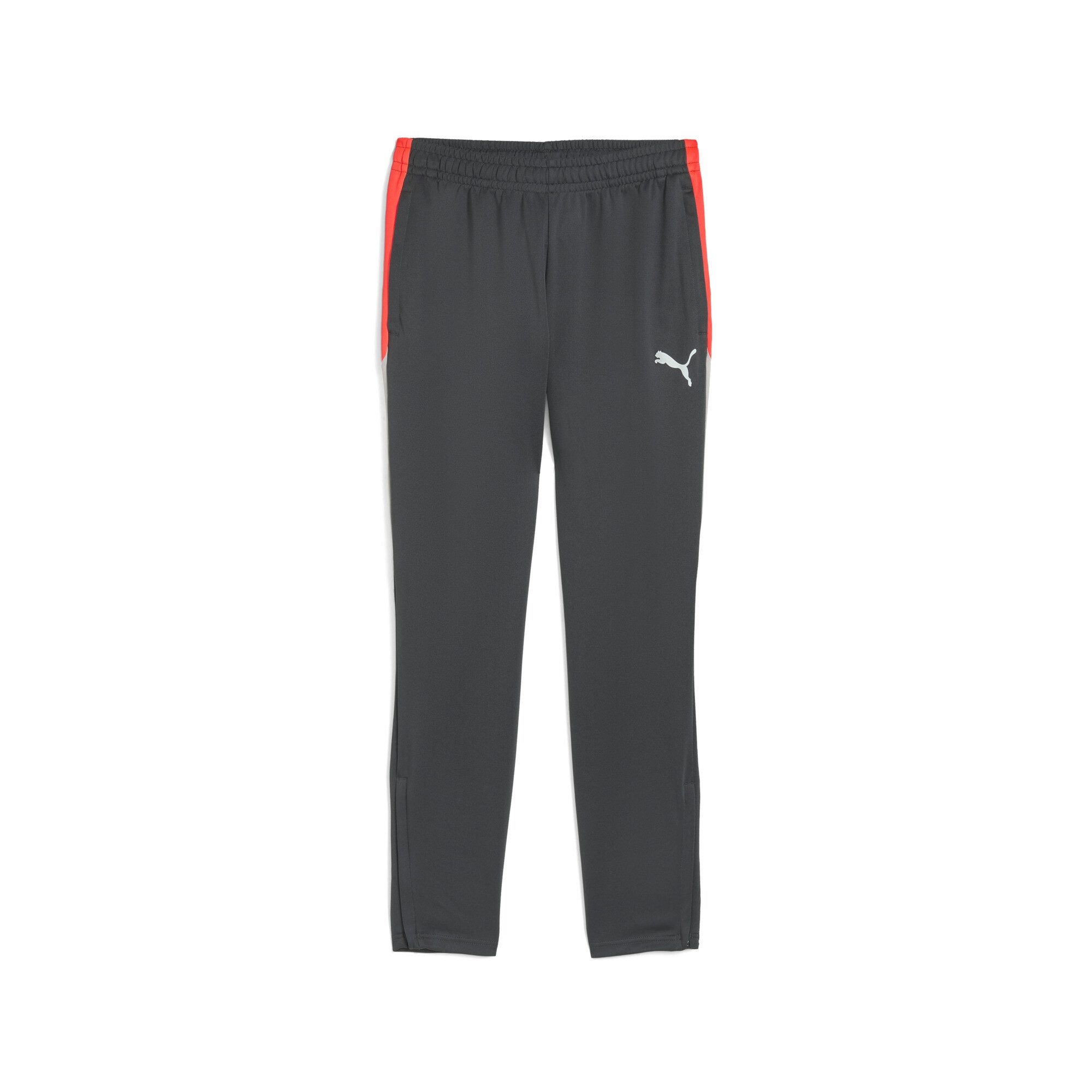 PUMA Sporthose individualLIGA Trainingshose Herren günstig online kaufen