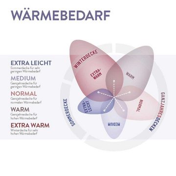 Naturhaarbettdecke, N500, Schlafstil, Füllung: Kamelhaar, Bezug: 100 % Baumwolle, Hergestellt in Deutschland, allergikerfreundlich