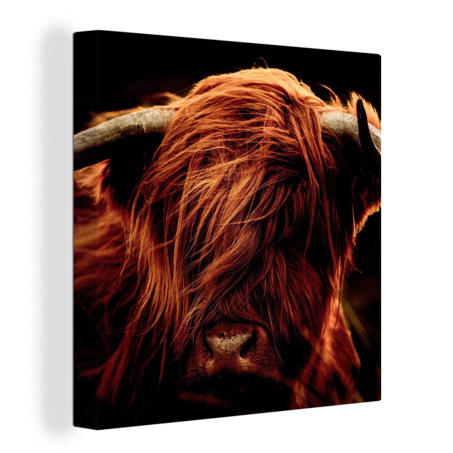 OneMillionCanvasses® Leinwandbild Schottischer Highlander - Kuh - Hörner - Porträt - Tiere, (1 St), Leinwand Bilder für Wohnzimmer Schlafzimmer bunt