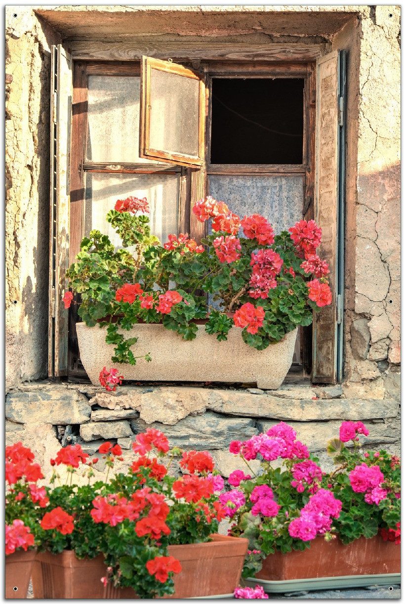 Wallario Sichtschutzzaunmatten Fenster mit Geranien