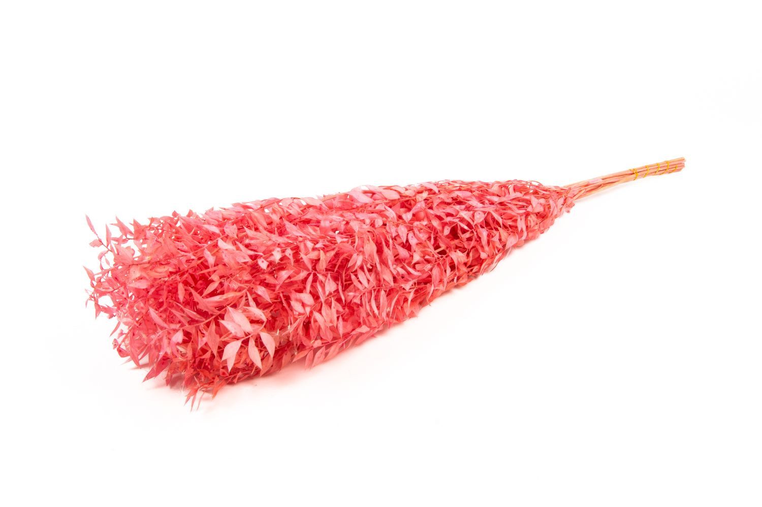 Trockenblume Ruscus Trockenzweige AGNIATA, pink, 70-75cm, Ø17cm, INNA-Glas, Höhe 75.0 cm