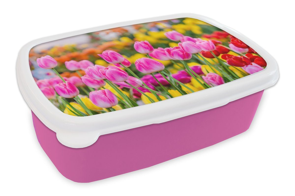 MuchoWow Lunchbox Tulpen - Farben - Frühling, Kunststoff, (2-tlg), Brotbox für Erwachsene, Brotdose Kinder, Snackbox, Mädchen, Kunststoff rosa