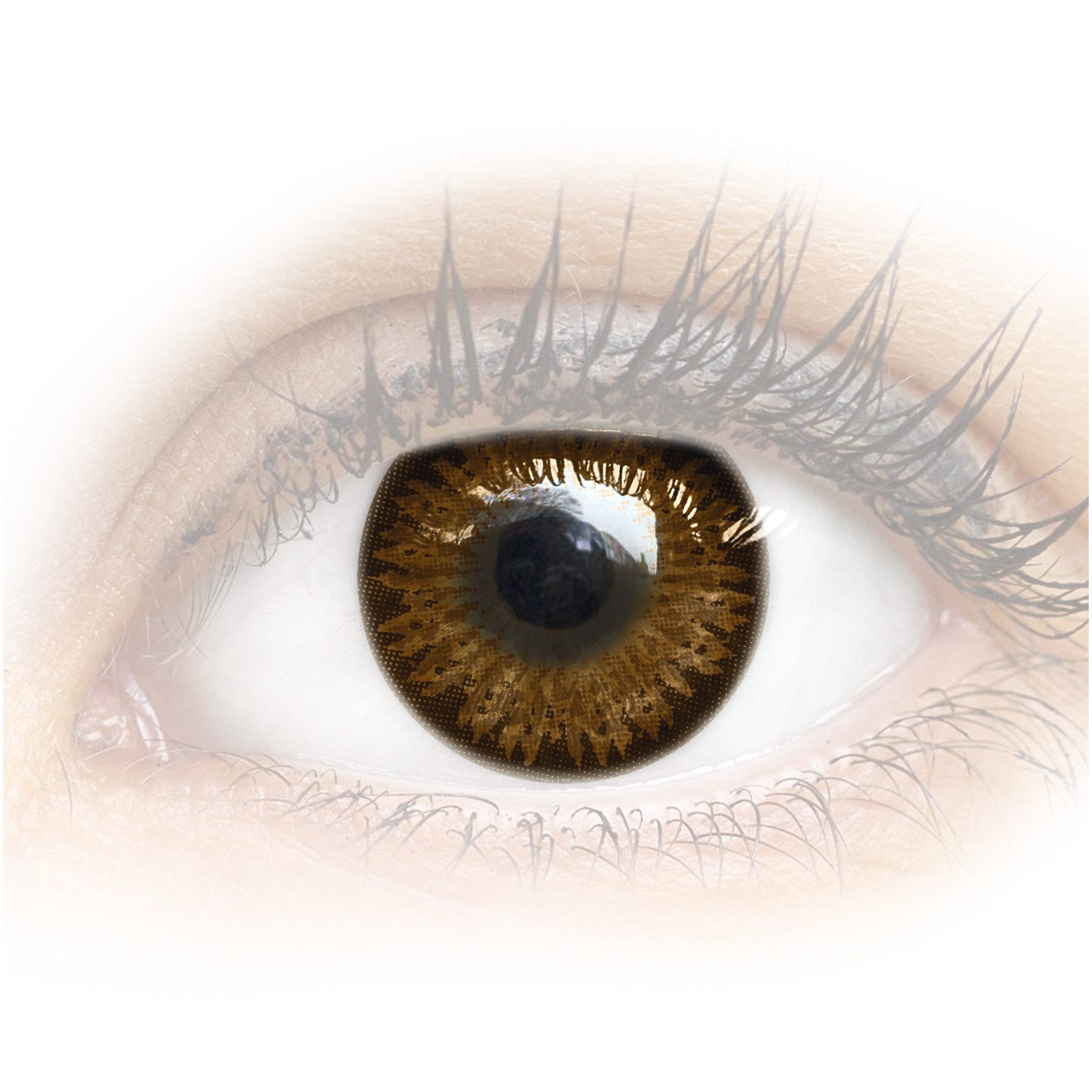GLAMLENS Monatslinsen Stark deckende & natürliche braune Linsen Choco mit/ohne Stärke