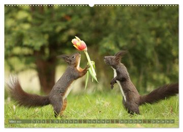 CALVENDO Wandkalender Eichhörnchen - Kleine Fotostars (Premium, hochwertiger DIN A2 Wandkalender 2023, Kunstdruck in Hochglanz)