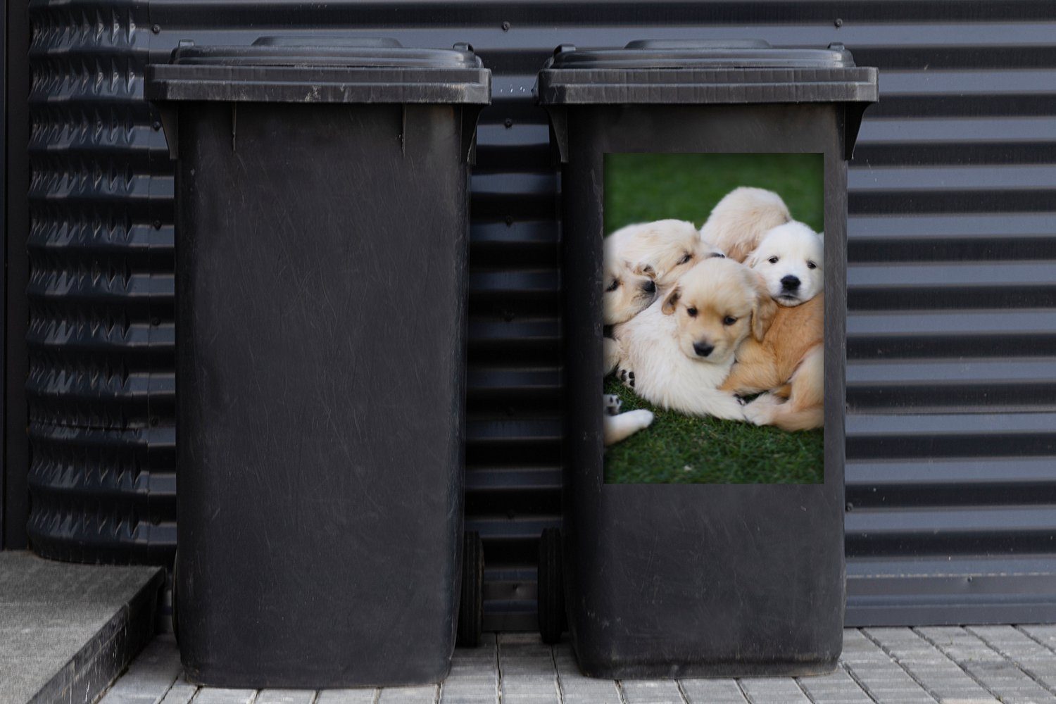 Abfalbehälter Tiere MuchoWow Mülltonne, Sticker, Wandsticker St), Welpen - (1 - Hunde Mülleimer-aufkleber, Container,