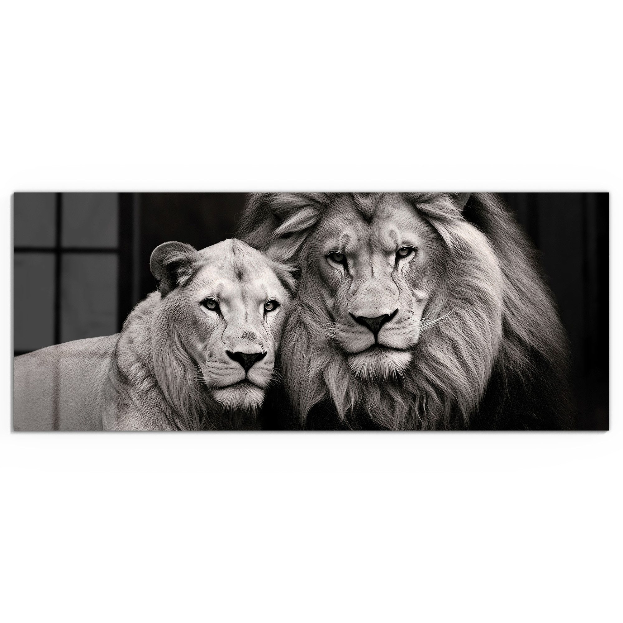 DEQORI Glasbild 'Stolzes Löwenpaar', 'Stolzes Löwenpaar', günstig online kaufen