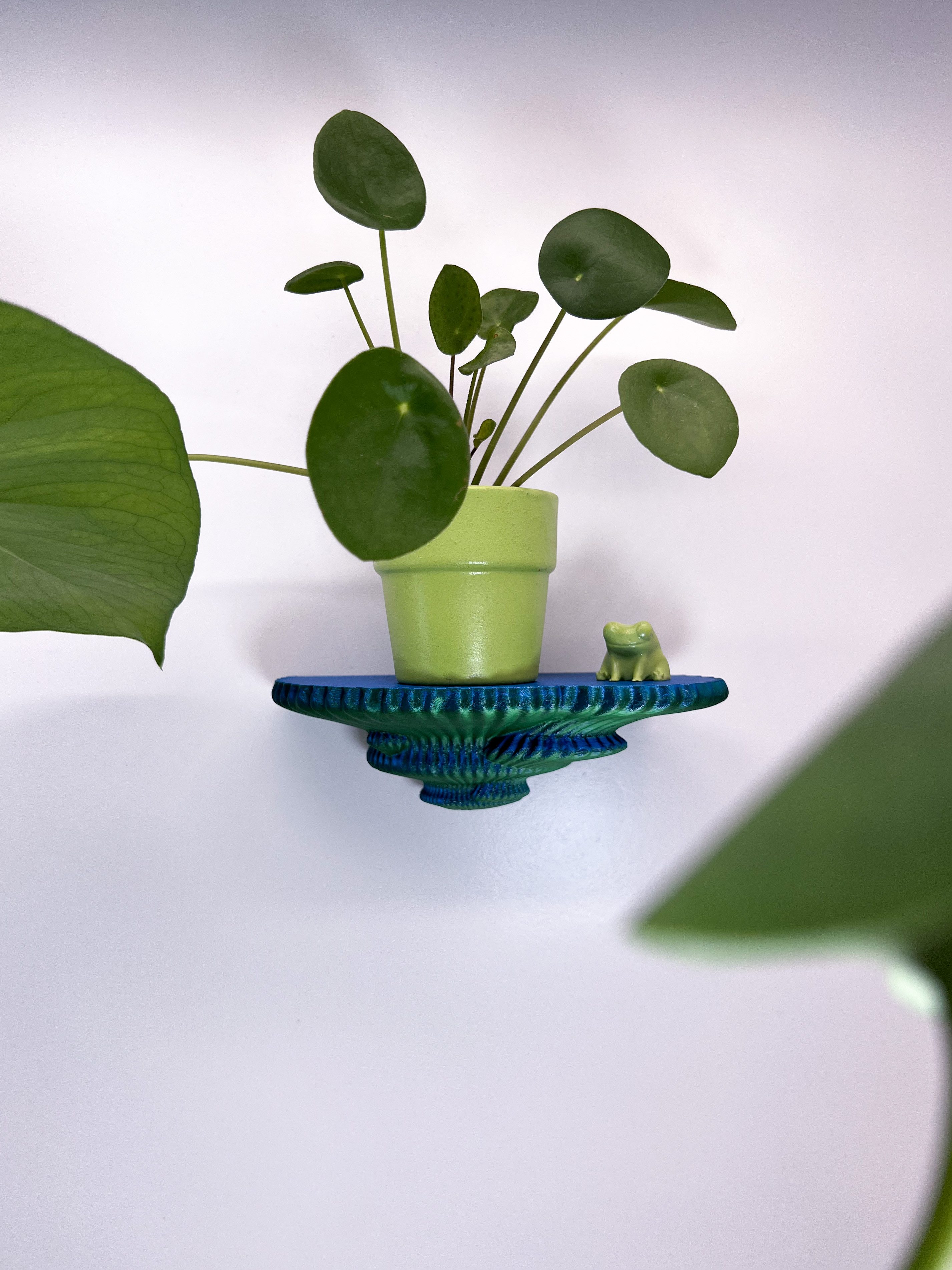 Roomberry Deko-Wandregal Schwebendes Beerenpilz Wandregal – günstig online kaufen