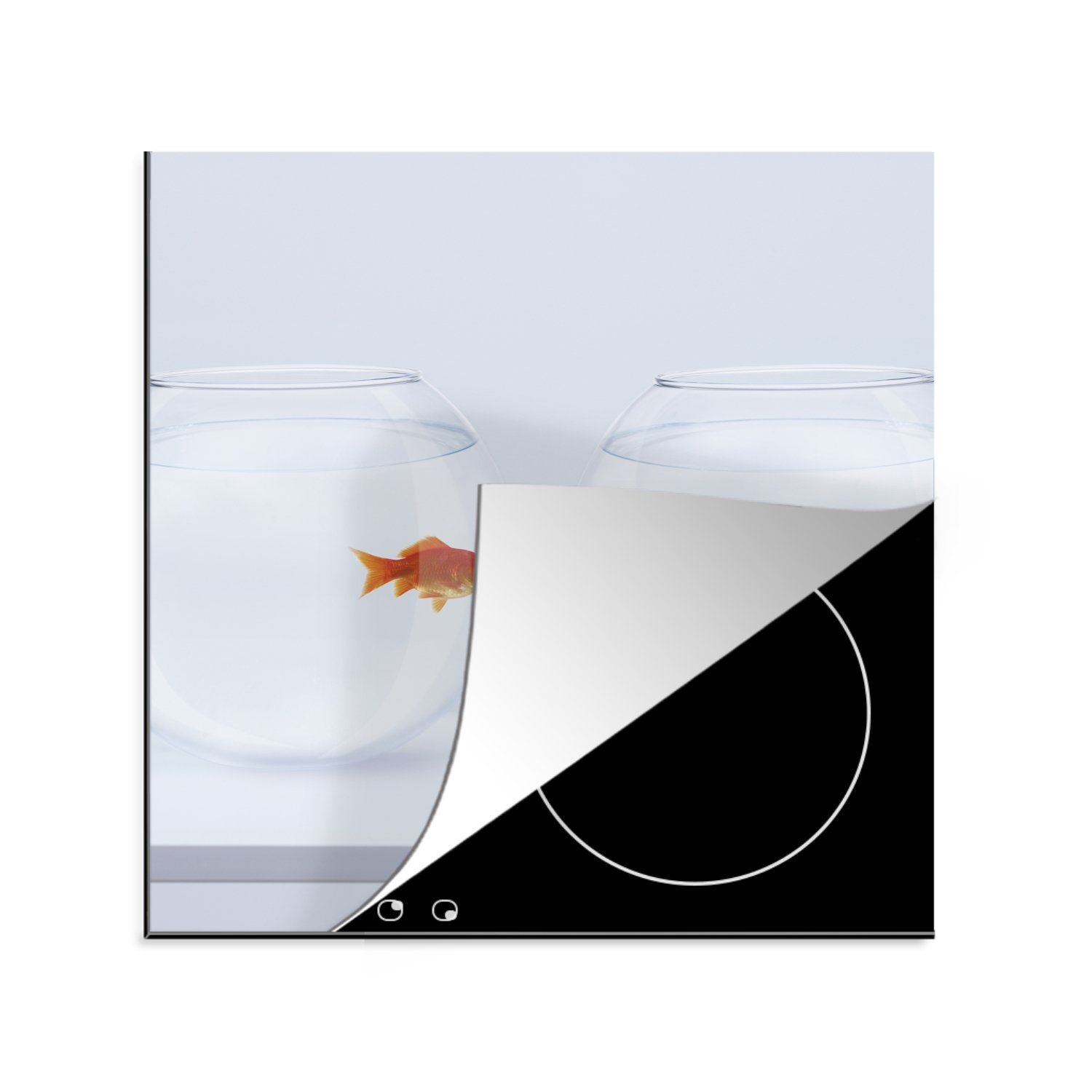 MuchoWow Herdblende-/Abdeckplatte Goldfisch - Fischgläser - Weiß, Vinyl, (1 tlg), 78x78 cm, Ceranfeldabdeckung, Arbeitsplatte für küche
