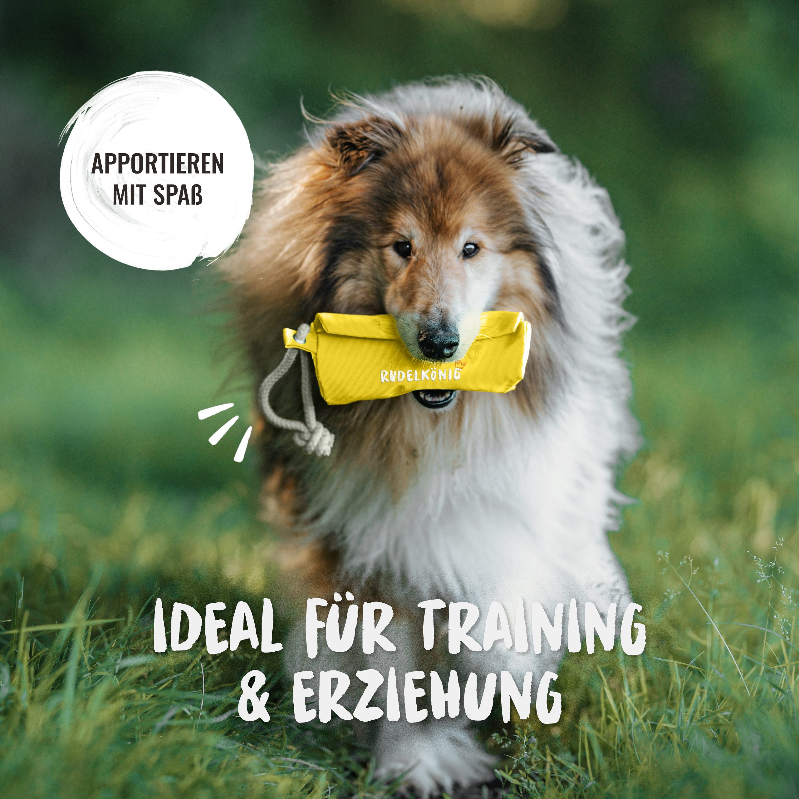 Rudelkönig Tier-Intelligenzspielzeug Futterbeutel für Hunde, Apportierbeutel für Hundetraining, Futterdummy, Polyester, (1-tlg) Robuster Trainingsdummy für Nass- und Trockenfutter