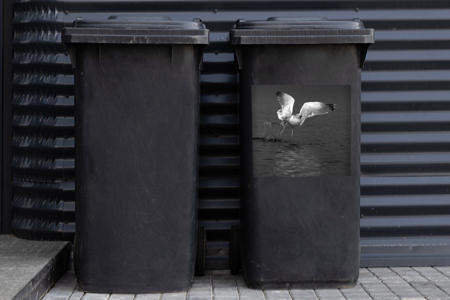 Sticker, (1 - Spektakuläres MuchoWow über Mantelmöwe Flug St), Mülleimer-aufkleber, Abfalbehälter Mülltonne, Wandsticker Container, beim einer Wasser das Foto