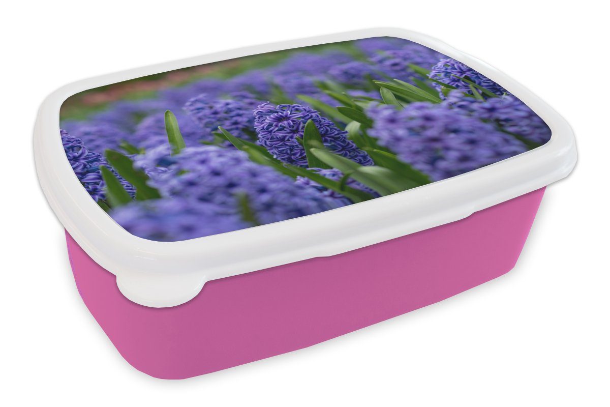MuchoWow Lunchbox Hyazinthe - Blumen - Lila, Kunststoff, (2-tlg), Brotbox für Erwachsene, Brotdose Kinder, Snackbox, Mädchen, Kunststoff rosa