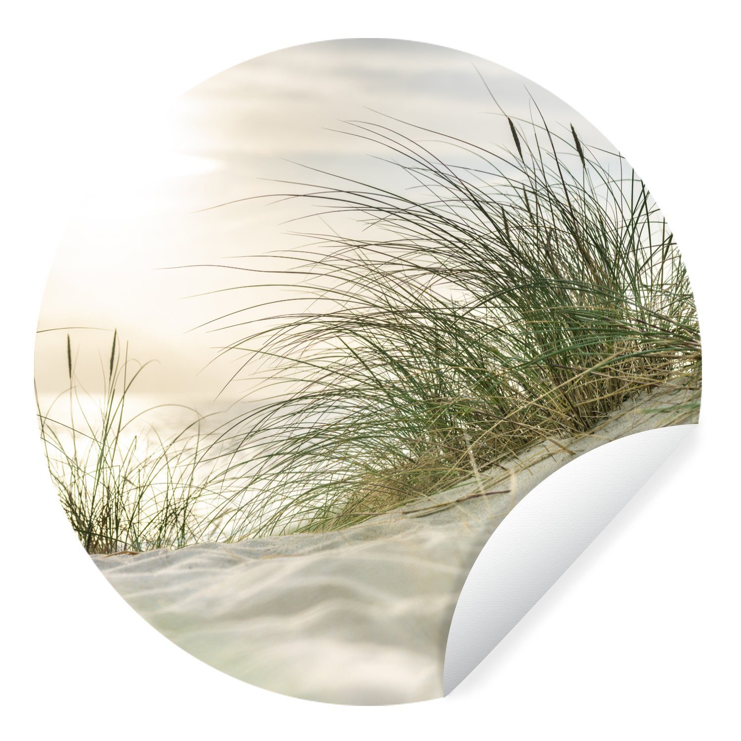 MuchoWow Wandsticker Dünen mit Strandhafer in der Sonne des Nationalparks S günstig online kaufen