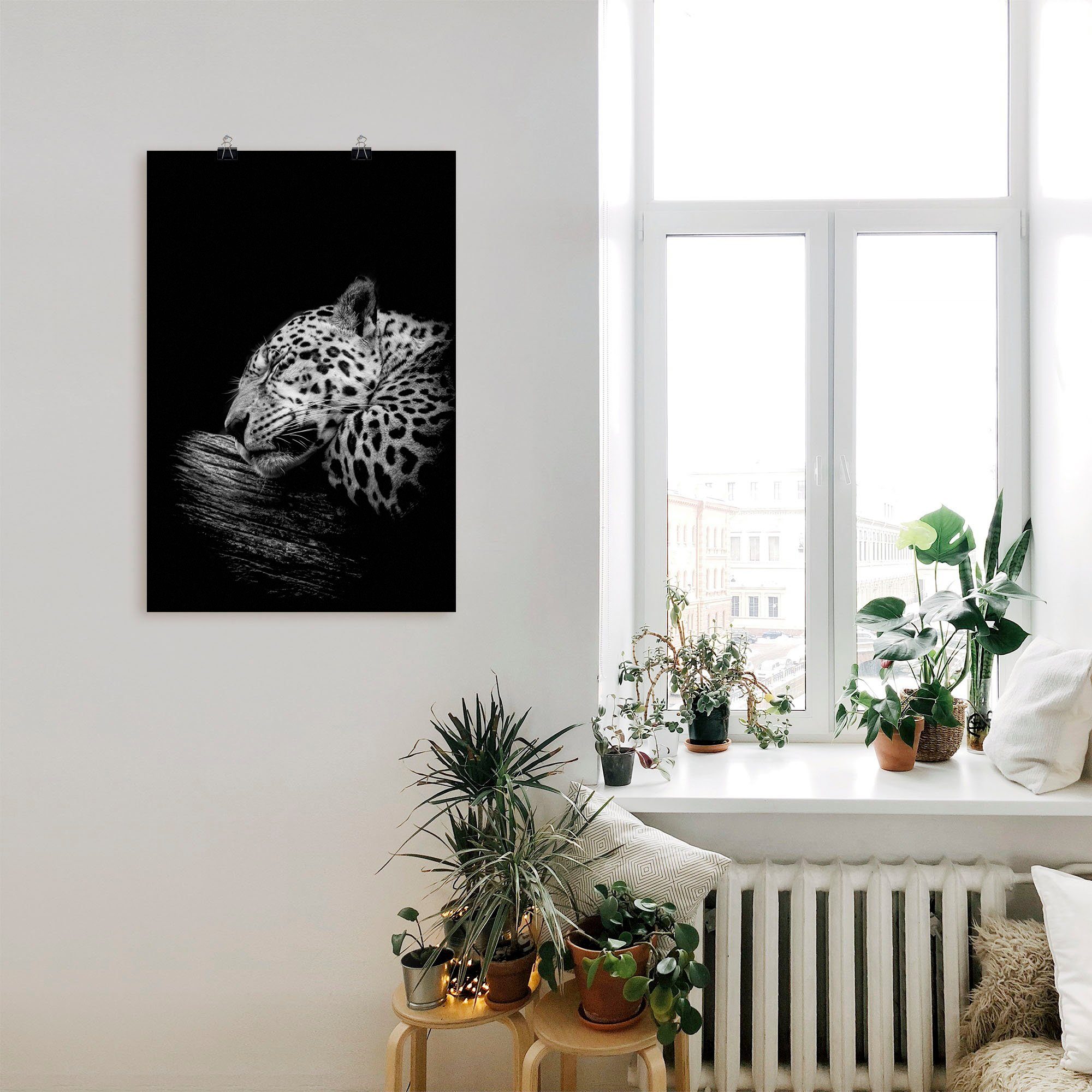 versch. Der Wandaufkleber in als Wildtiere St), Alubild, Jaguar, (1 oder Größen Wandbild schlafende Leinwandbild, Artland Poster