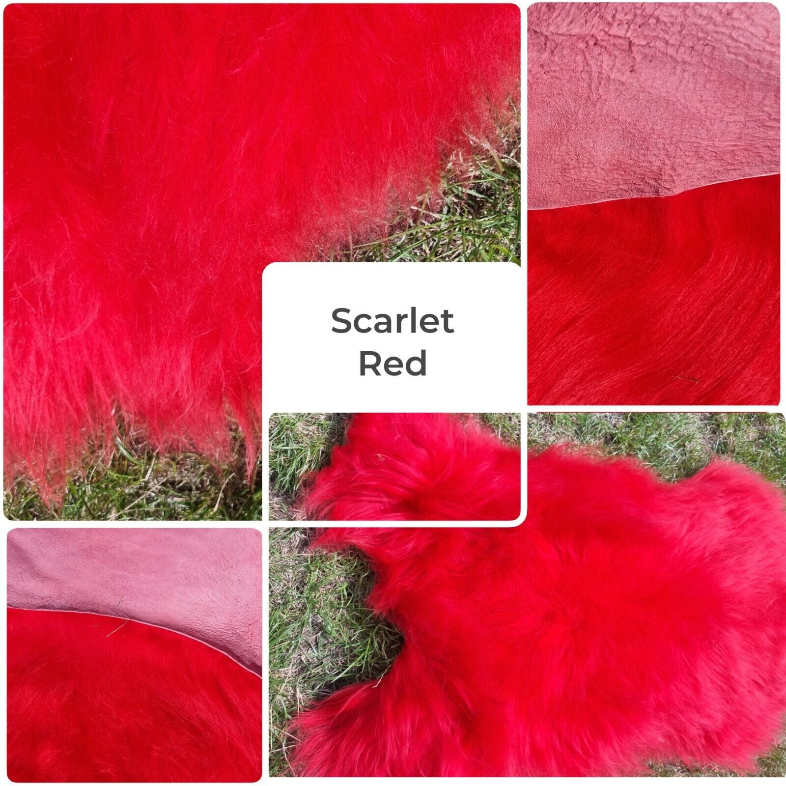 Provellus Fellteppich Premium Island Lammfell Schaffell Bunt Gefärbt Weich Fell Teppich, 30x30cm eckig