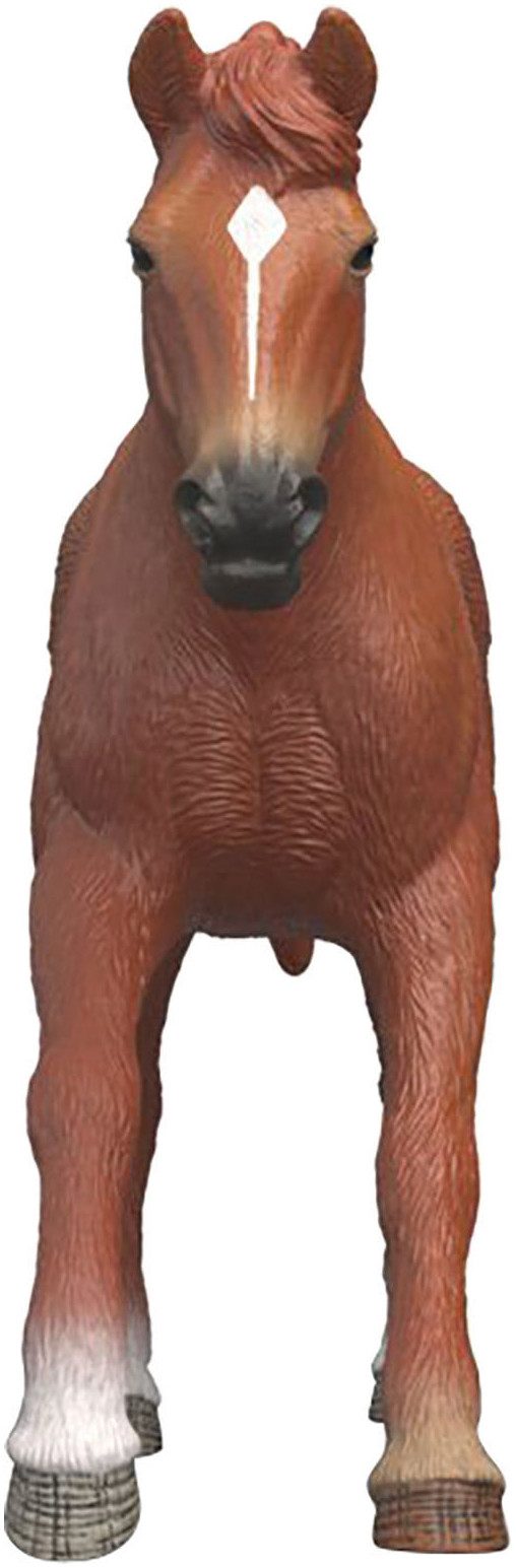 Schleich® Spielfigur HORSE CLUB, Englisches Vollblut Hengst (14915) – Bild 5 von 5