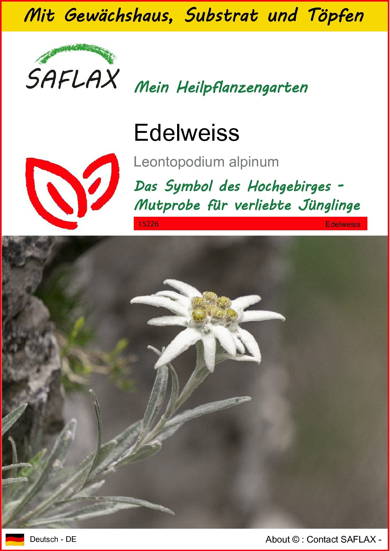 SAFLAX Blumensamen SAFLAX - Anzuchtset - Edelweiss