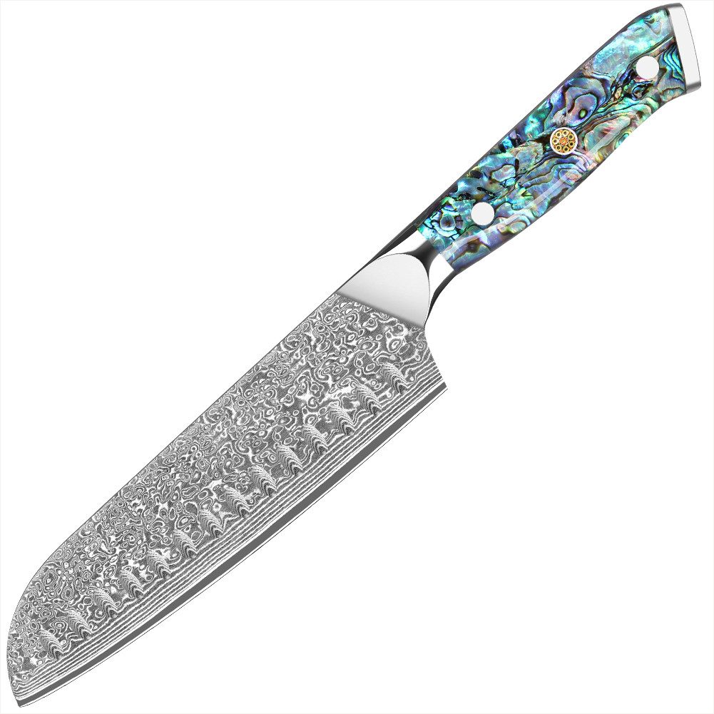 KEENZO Damastmesser Santoku-Messer aus 67 Lagen VG10 Damaststahl Abalone-Muschel Griff
