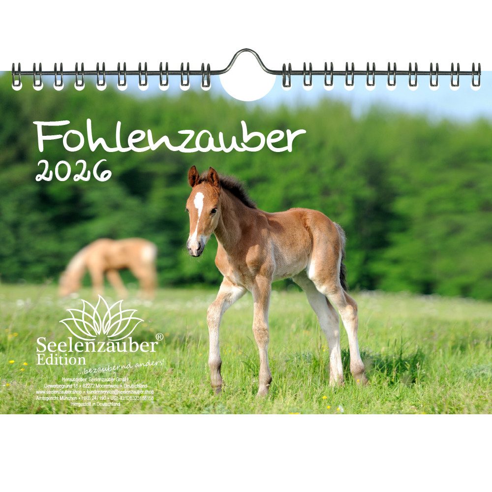 Seelenzauber Wandkalender Fohlenzauber DIN A5 Kalender für 2026 Pferde und Fohlen - Seelenzauber