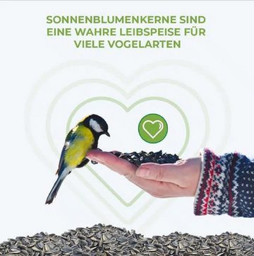PLASTIA Vogelhaus Futterhaus DOMEK Braun + Bio Energieprotz Vogelfutter 1 kg