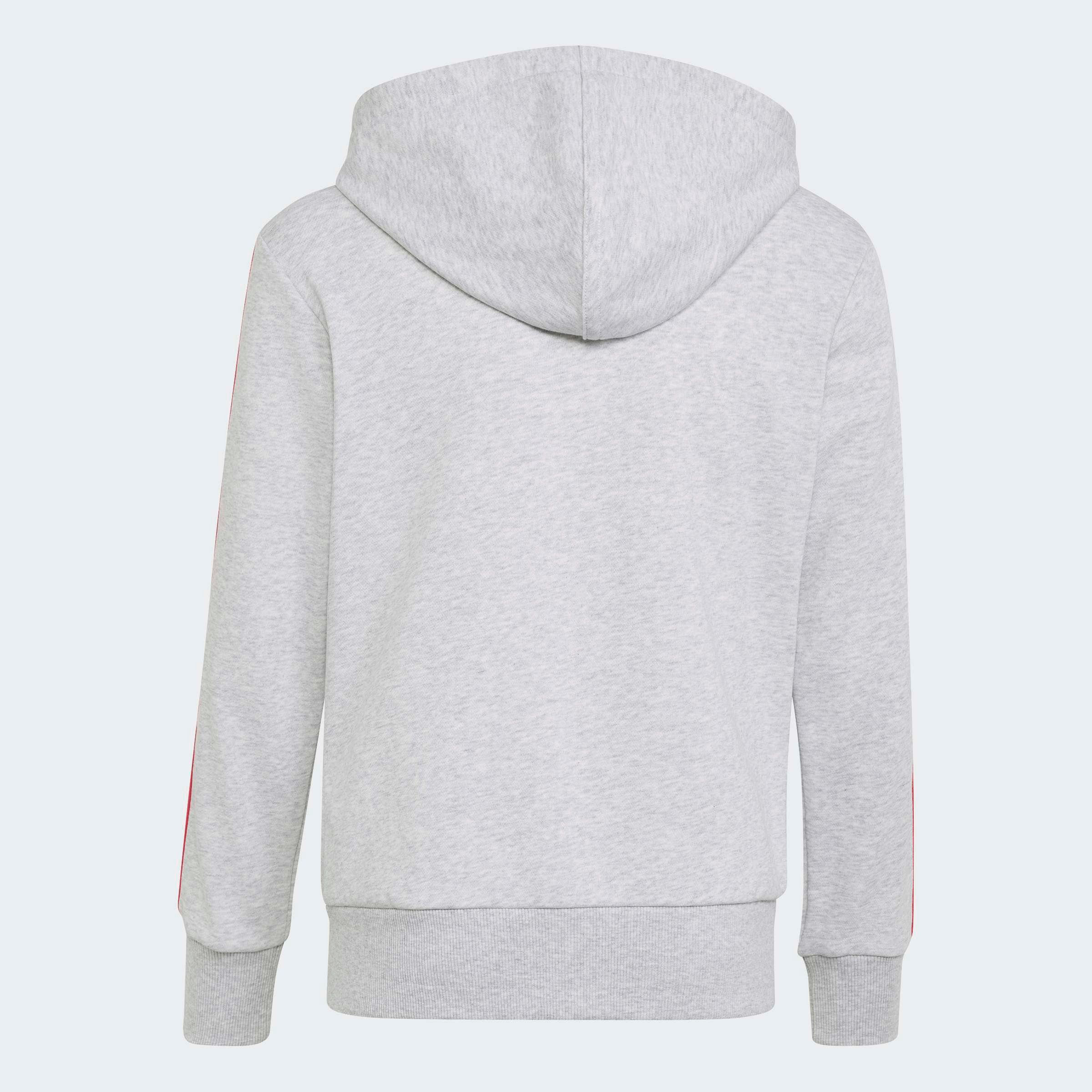 adidas Sportswear Kapuzensweatshirt ESSENTIALS FULL ZIP HOODIE