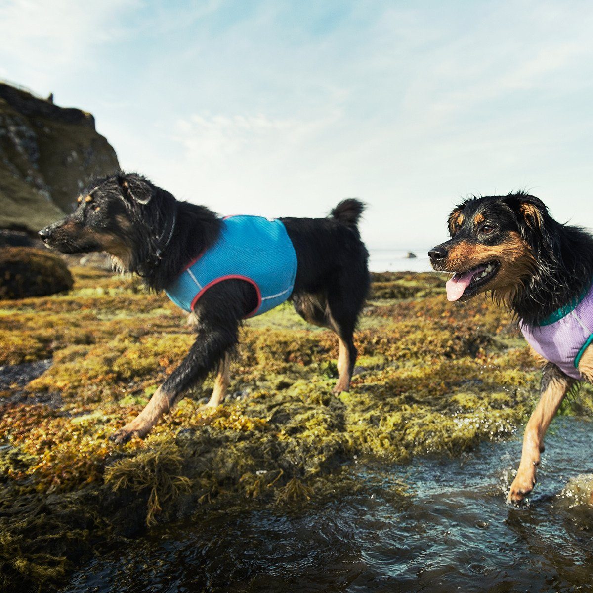 HURTTA Hundeweste Kühlweste blau
