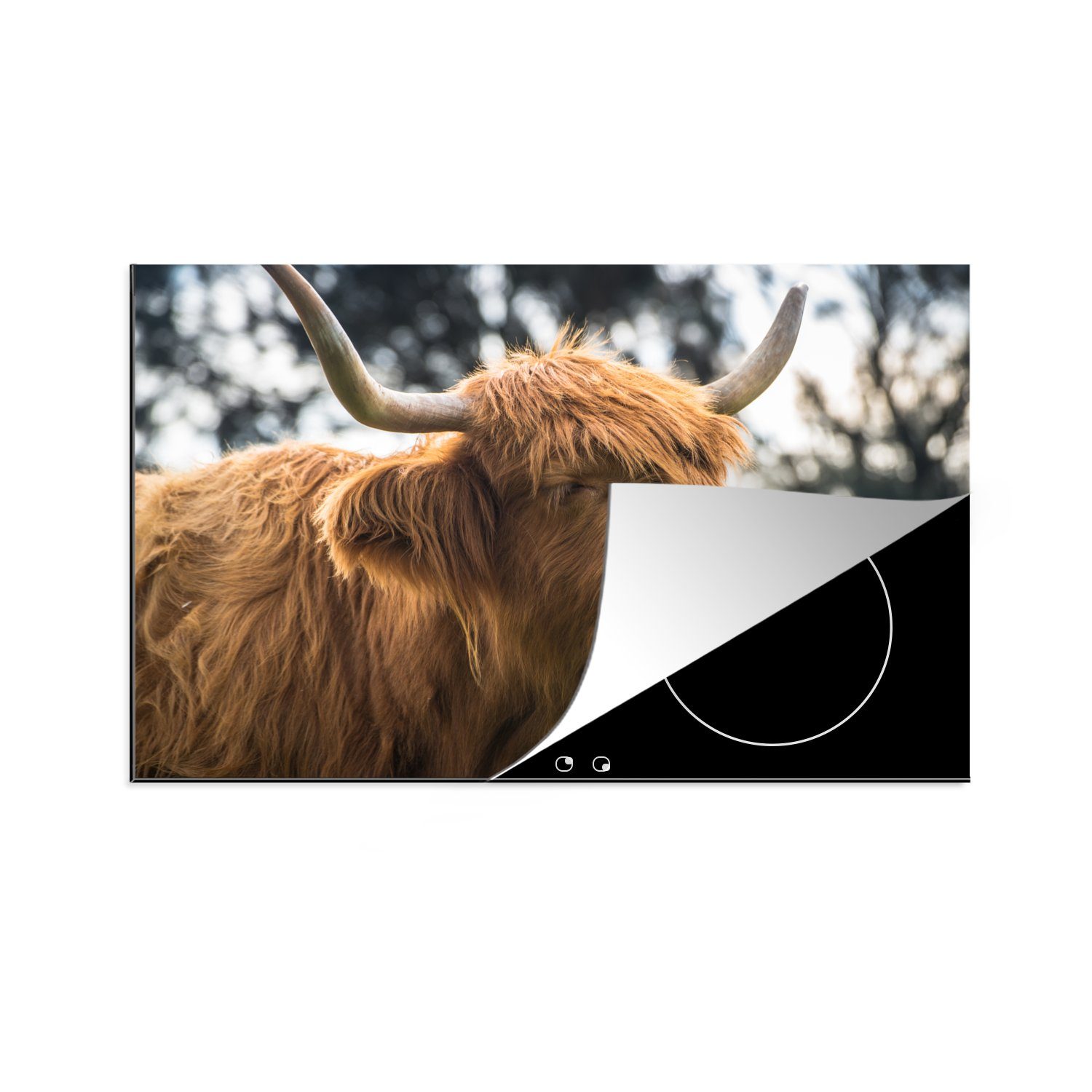 MuchoWow Herdblende-/Abdeckplatte Schottischer Highlander - Nase - Baum, Vinyl, (1 tlg), 81x52 cm, Induktionskochfeld Schutz für die küche, Ceranfeldabdeckung
