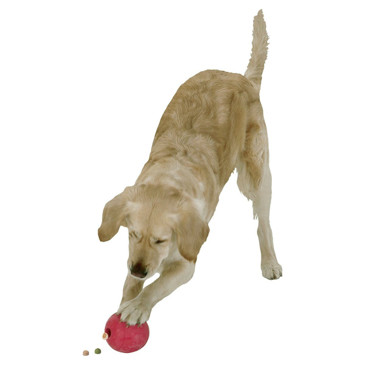 Karlie Tierball Hundespielzeug Boomer Futterball
