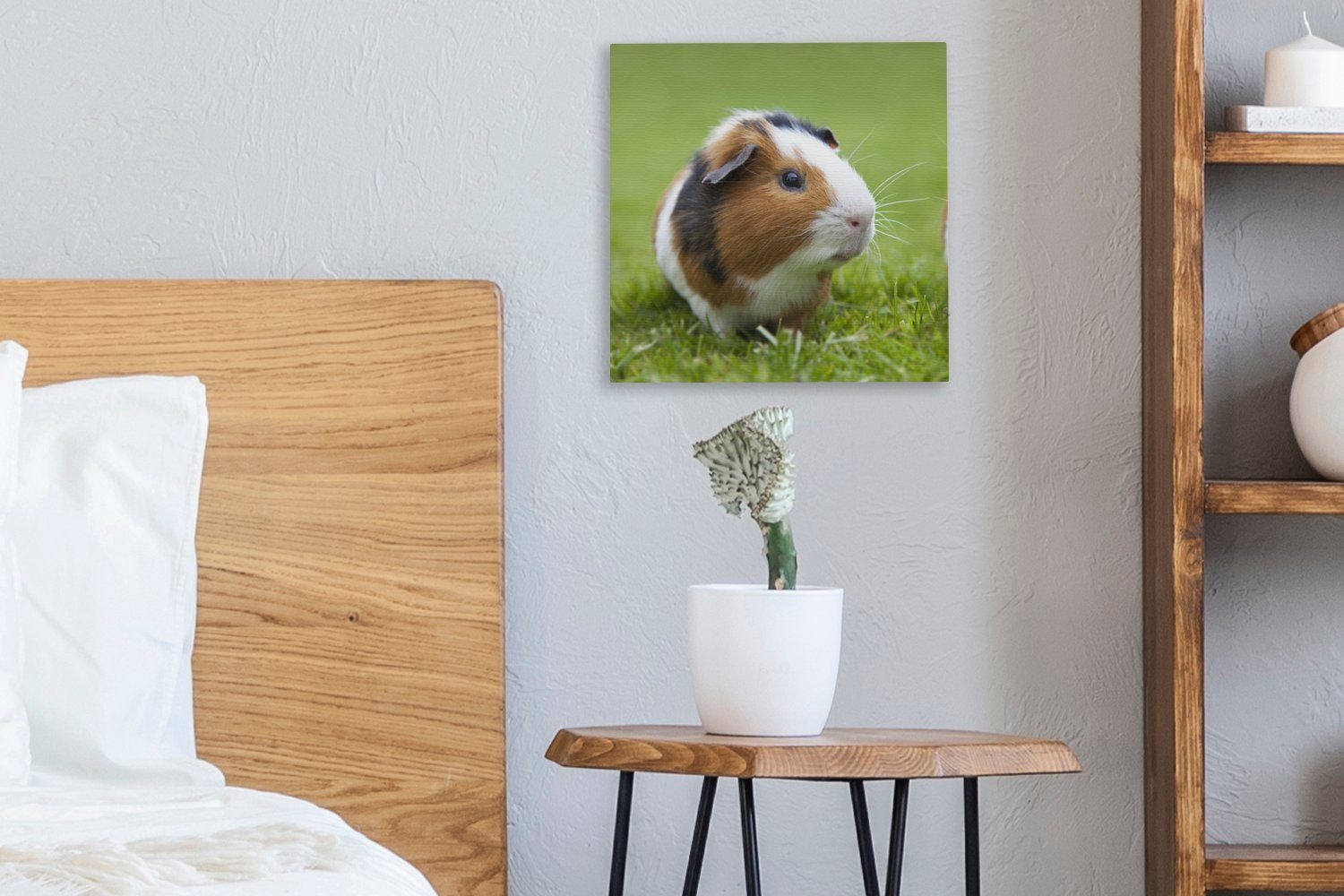 OneMillionCanvasses® Leinwandbild (1 Schlafzimmer Leinwand Wohnzimmer Bilder für Meerschweinchen, St), Zwei