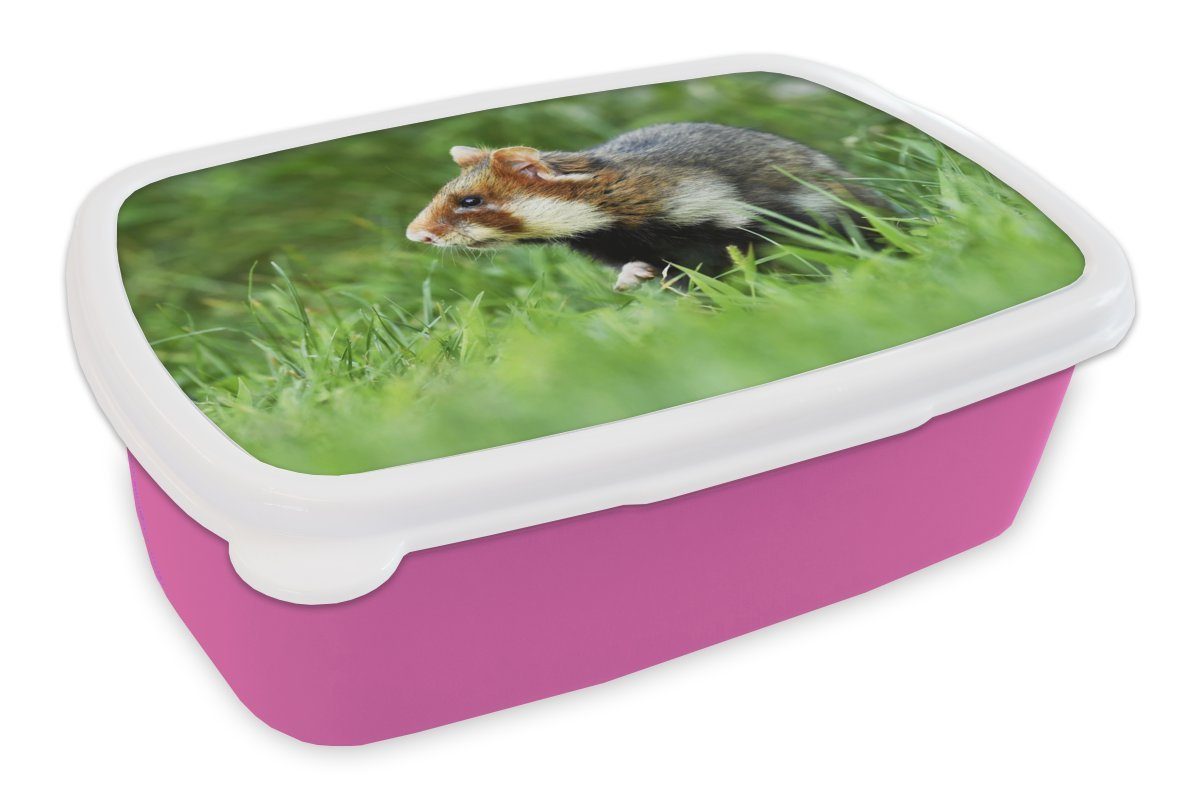 MuchoWow Lunchbox Hamster läuft vorsichtig durch ein Grasfeld, Kunststoff, (2-tlg), Brotbox für Erwachsene, Brotdose Kinder, Snackbox, Mädchen, Kunststoff rosa