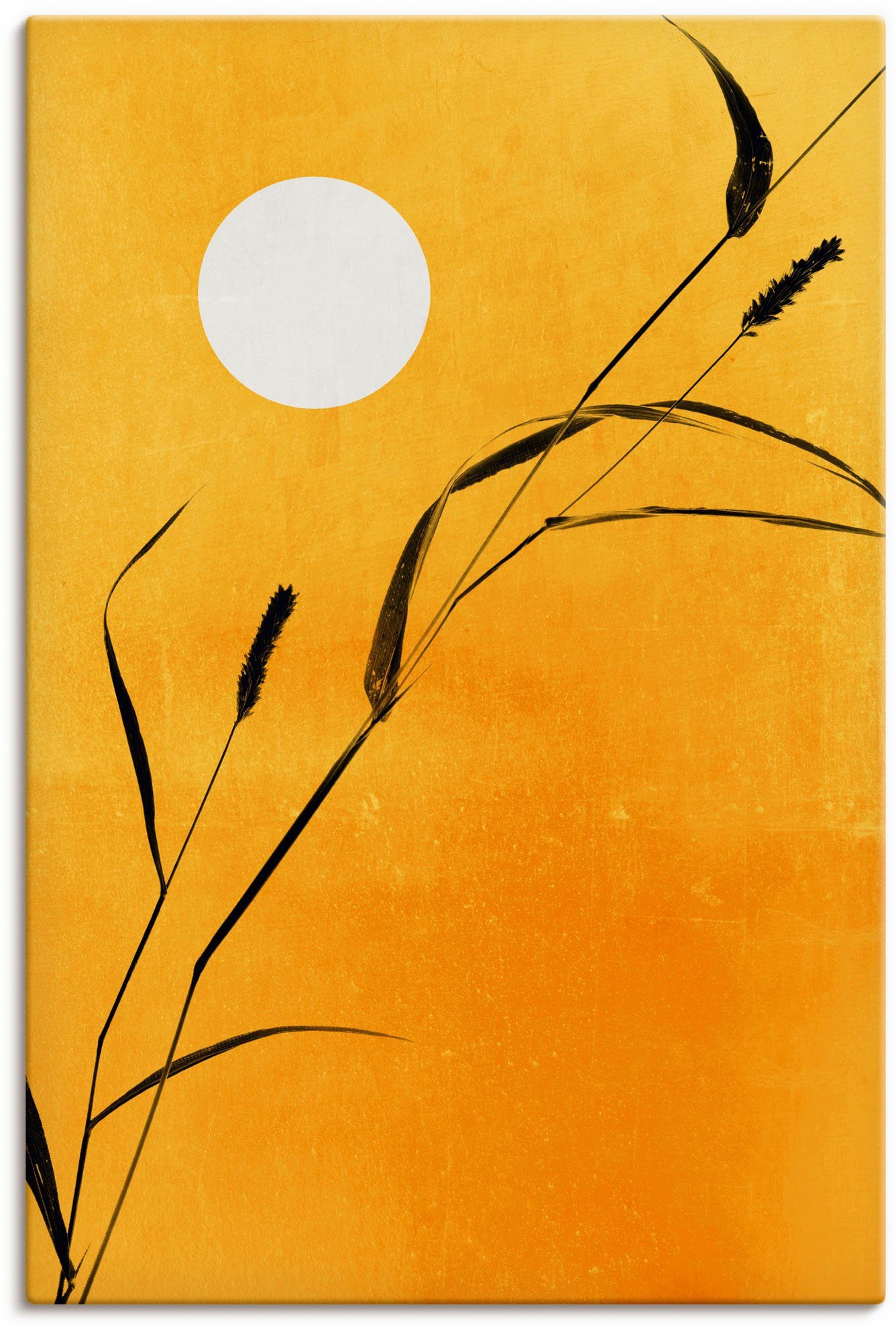 Artland Leinwandbild Sonniger Tag, Pflanzenbilder (1 St), auf Holzrahmen gespannt