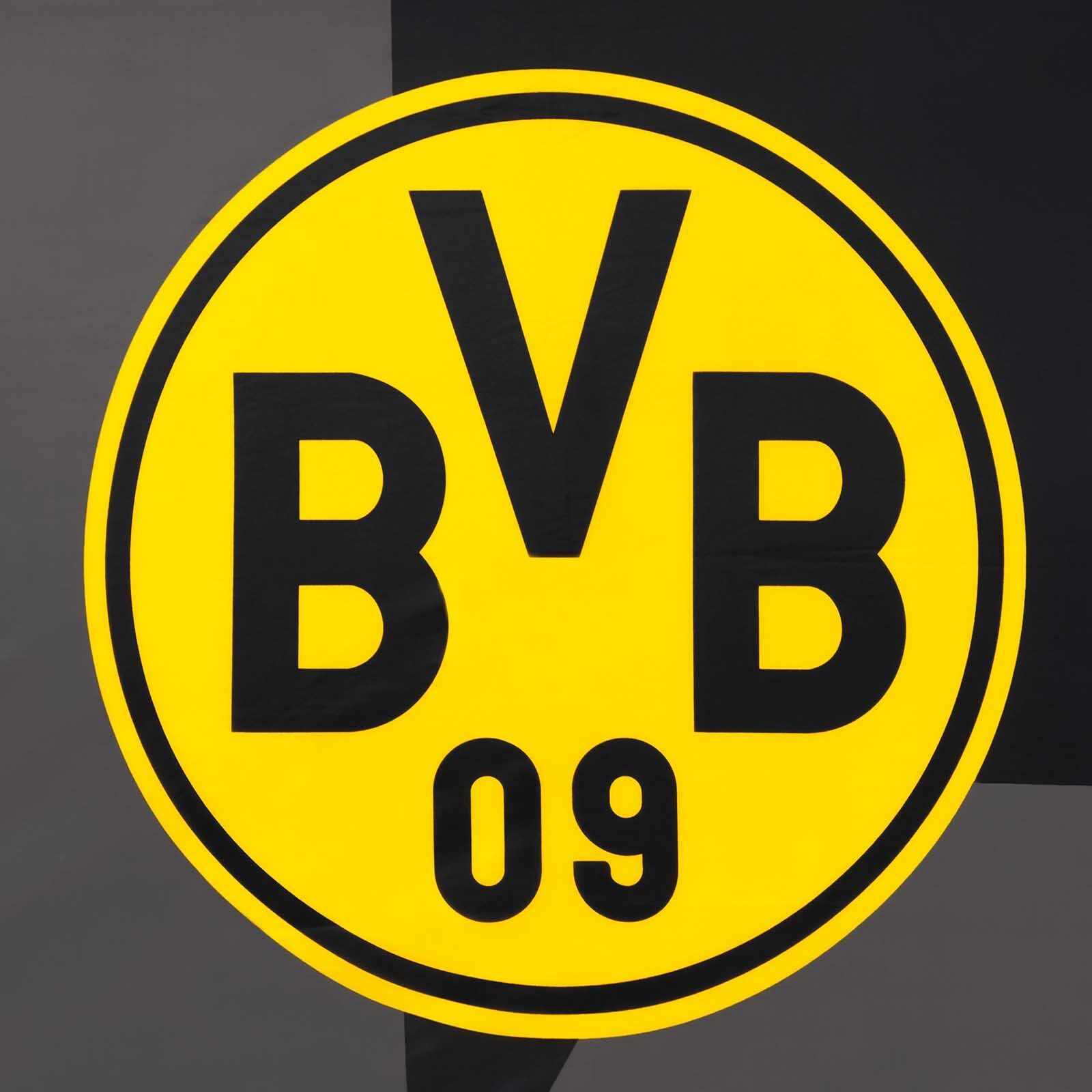 BVB Fahne BVB-Hissfahne schwarz 250x150cm (Packung, 1-St., Fahne)