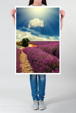 Sinus Art Poster 90x60cm Poster Blühendes Lavendelfeld in der Sonne