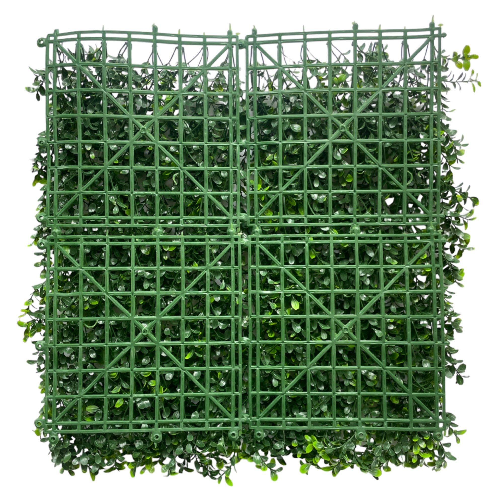 Kunstgras Künstliche Ruscusmatte, 50x50cm. Wandbegrünung Buchsbaum, Gasper