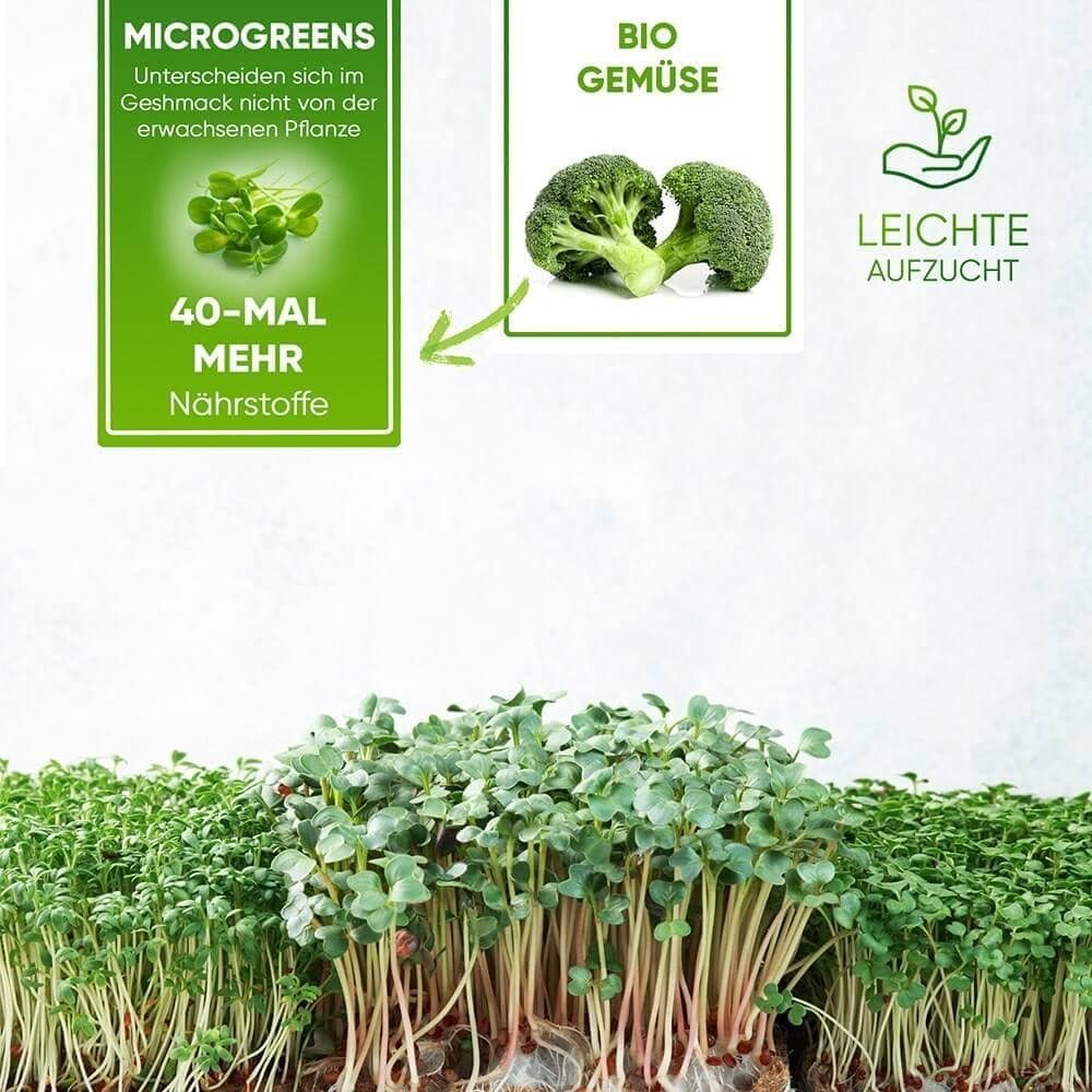St) Microgreens” Sprossen 1 “Bio OraGarden Anzuchtset Grüne Anzuchttopf Fee (1,