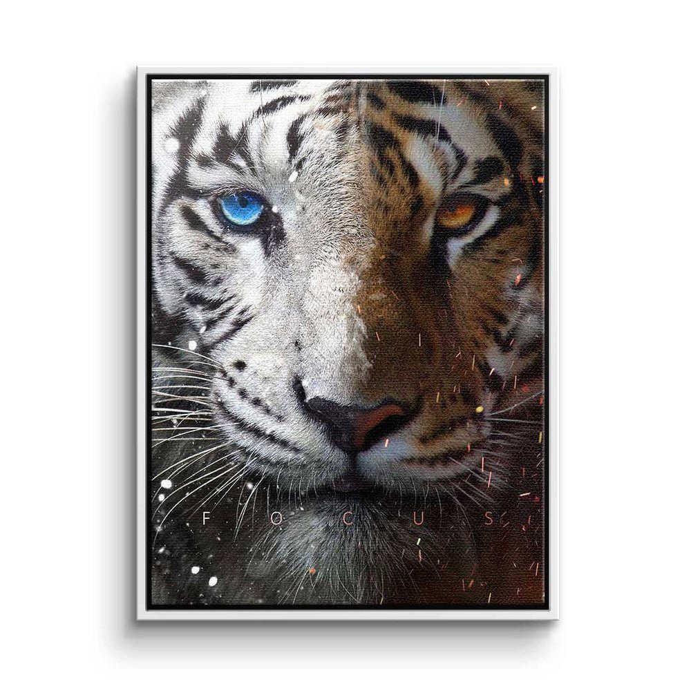 DOTCOMCANVAS® Leinwandbild, Leinwandbild Focus Face Tiger mit premium Rahmen weißer Rahmen