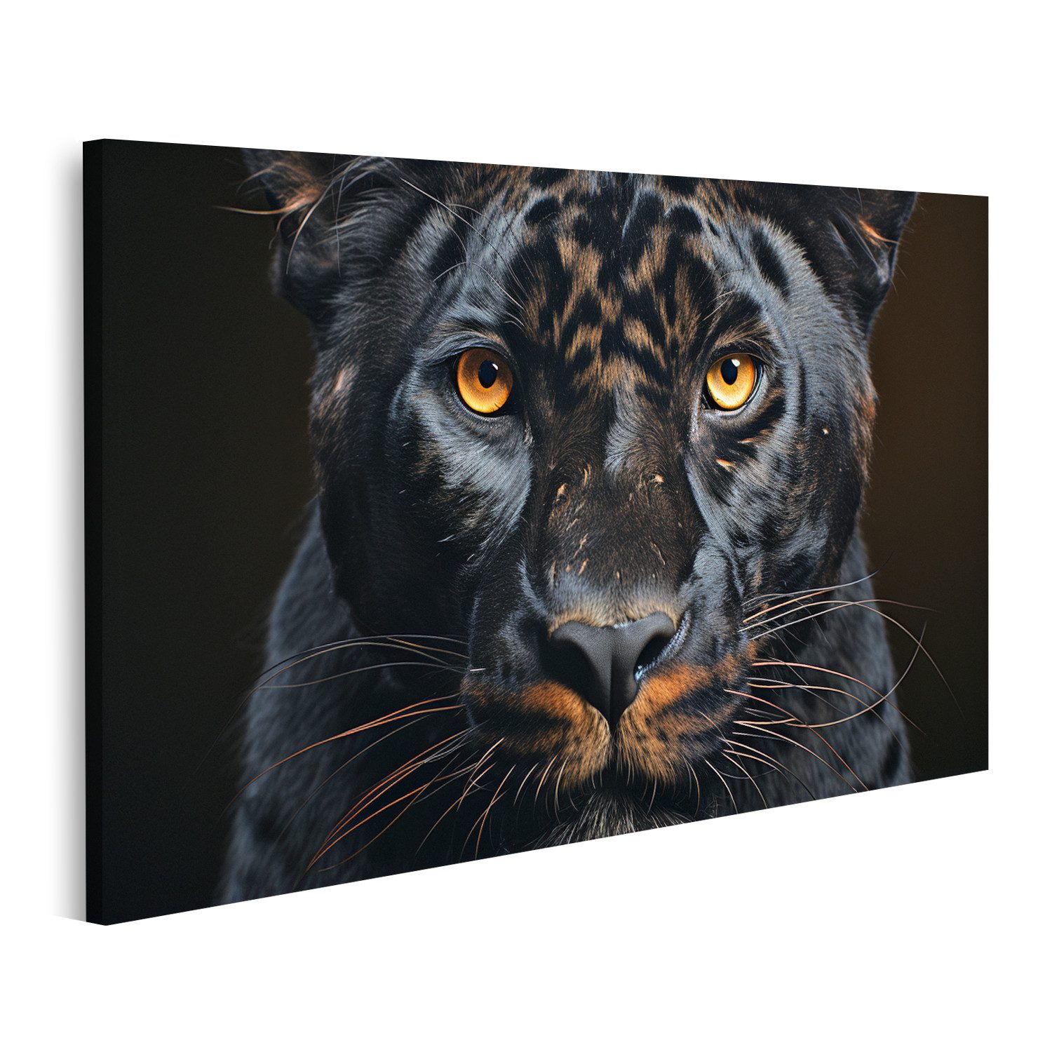 Leinwandbild Gesicht eines schwarzen Panthers Bilder
