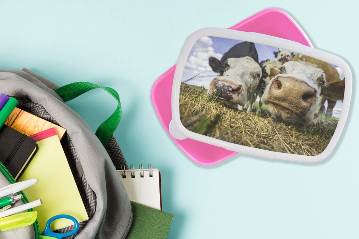 MuchoWow Lunchbox Kühe - Kunststoff (2-tlg), rosa Brotbox Kinder, Heu Snackbox, Mädchen, Kunststoff, für - Erwachsene, Brotdose Porträt