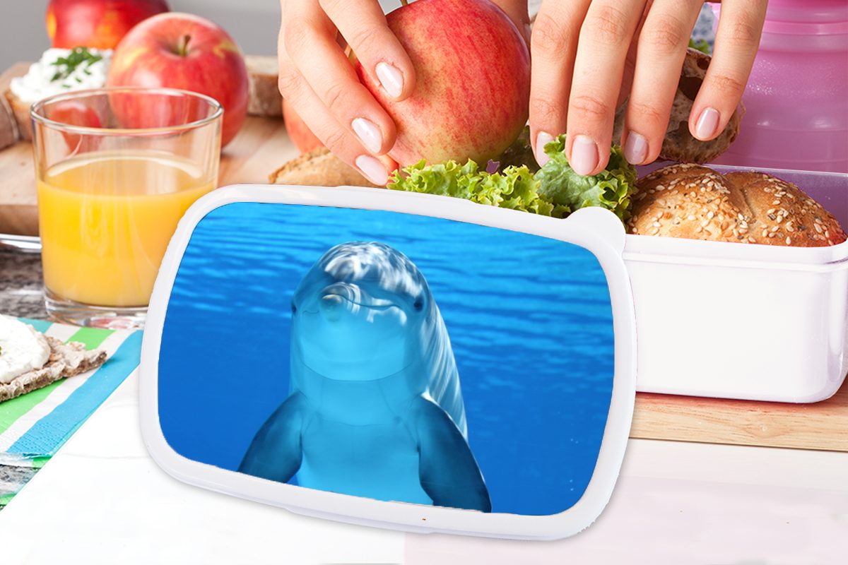 - Brotbox - Erwachsene, Wasser und (2-tlg), Lunchbox für MuchoWow Blau, Kinder Brotdose, Mädchen Delfin weiß für Jungs und Kunststoff,