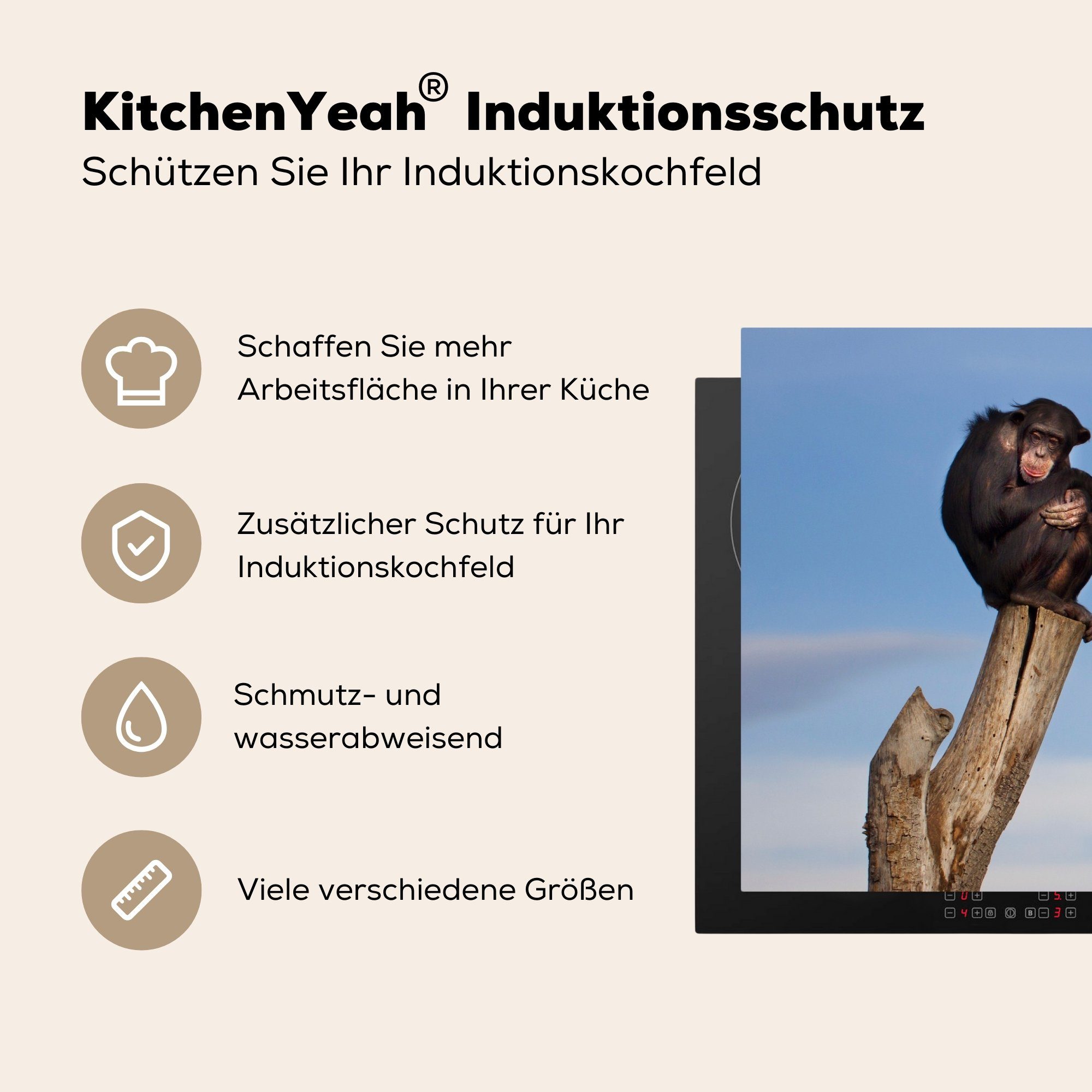 Herdblende-/Abdeckplatte Tiere (1 Schutz die küche, - 81x52 cm, - Pfahl Vinyl, Himmel, Affe - - tlg), MuchoWow für Ceranfeldabdeckung Induktionskochfeld Schimpanse