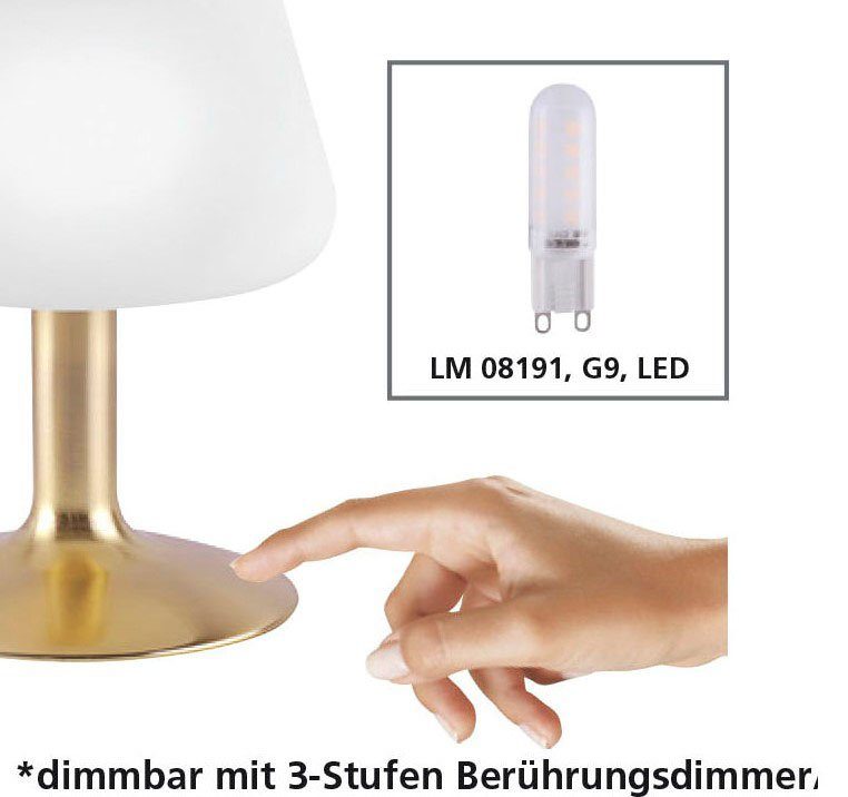 Paul Neuhaus LED Tischleuchte Warmweiß, wechselbar, 3-Stufen LED Touchdimmer Dimmfunktion, Till