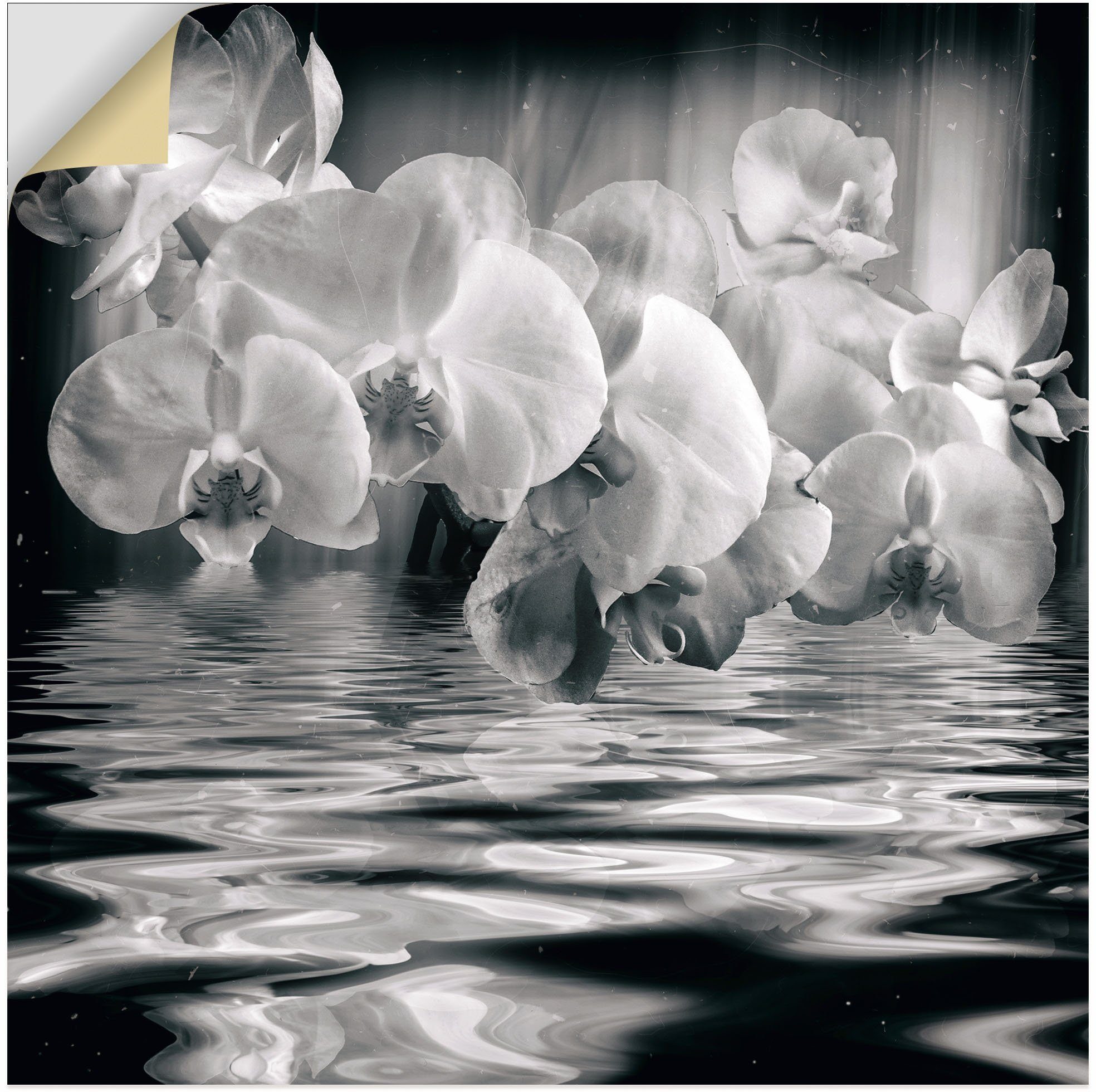 - Poster Wandbild St), versch. monochrom, in Leinwandbild, oder Orchideen Bilder Wandaufkleber (1 als Größen Spa Alubild, Artland