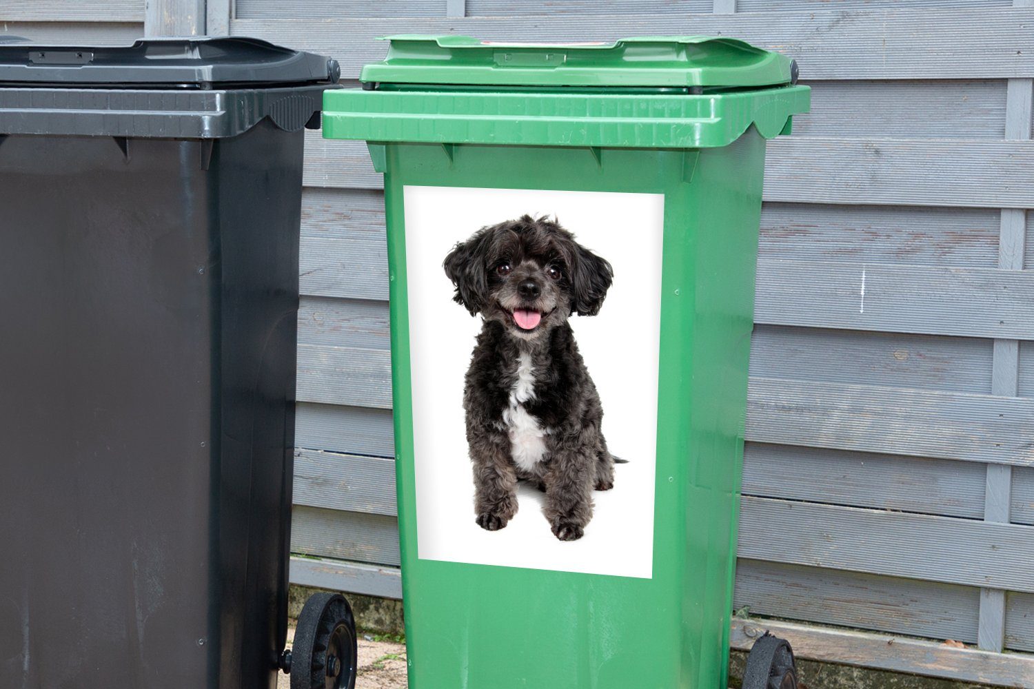 auf Mülleimer-aufkleber, St), MuchoWow Sticker, Abfalbehälter Mülltonne, weißer Hintergrund Wandsticker (1 Hund Container, und weißem Schwarzer