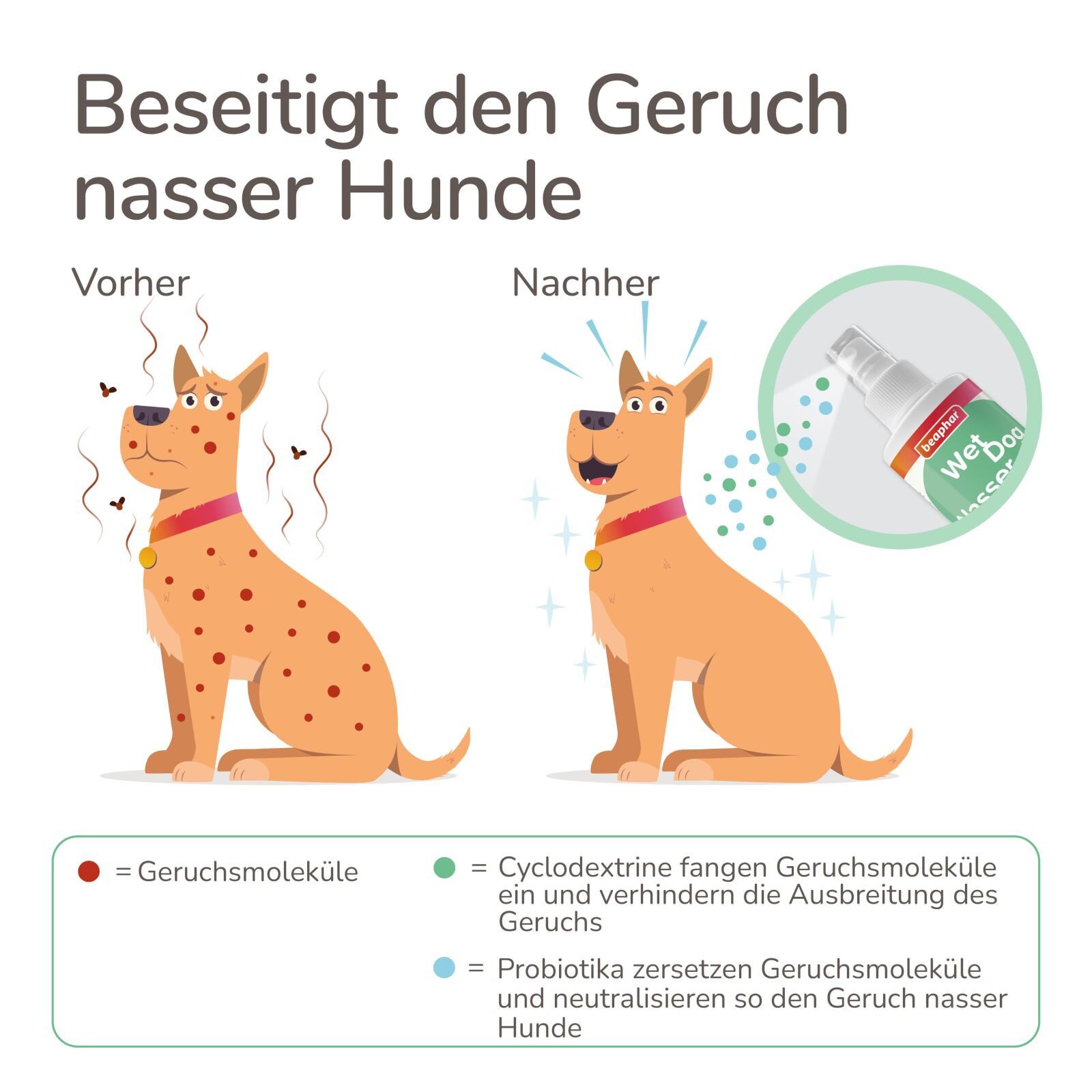 beaphar Geruchsentferner Nasser Hund Spray 6x 250 ml, neutralisiert den Geruch von Hunden