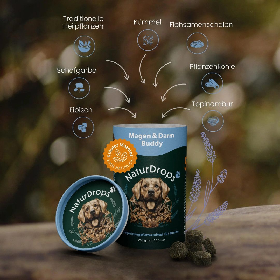 NaturDrops Magen & Darm Buddy Bei empfindlichem Magen, die Basis für mehr Wohlbefinden, Nahrungsergänzungsmittel für: Hunde