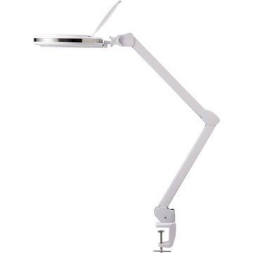 TOOLCRAFT Lupenlampe 730 lm 127 mm (5 Zoll) Dimmbare LED-Lupenleuchte