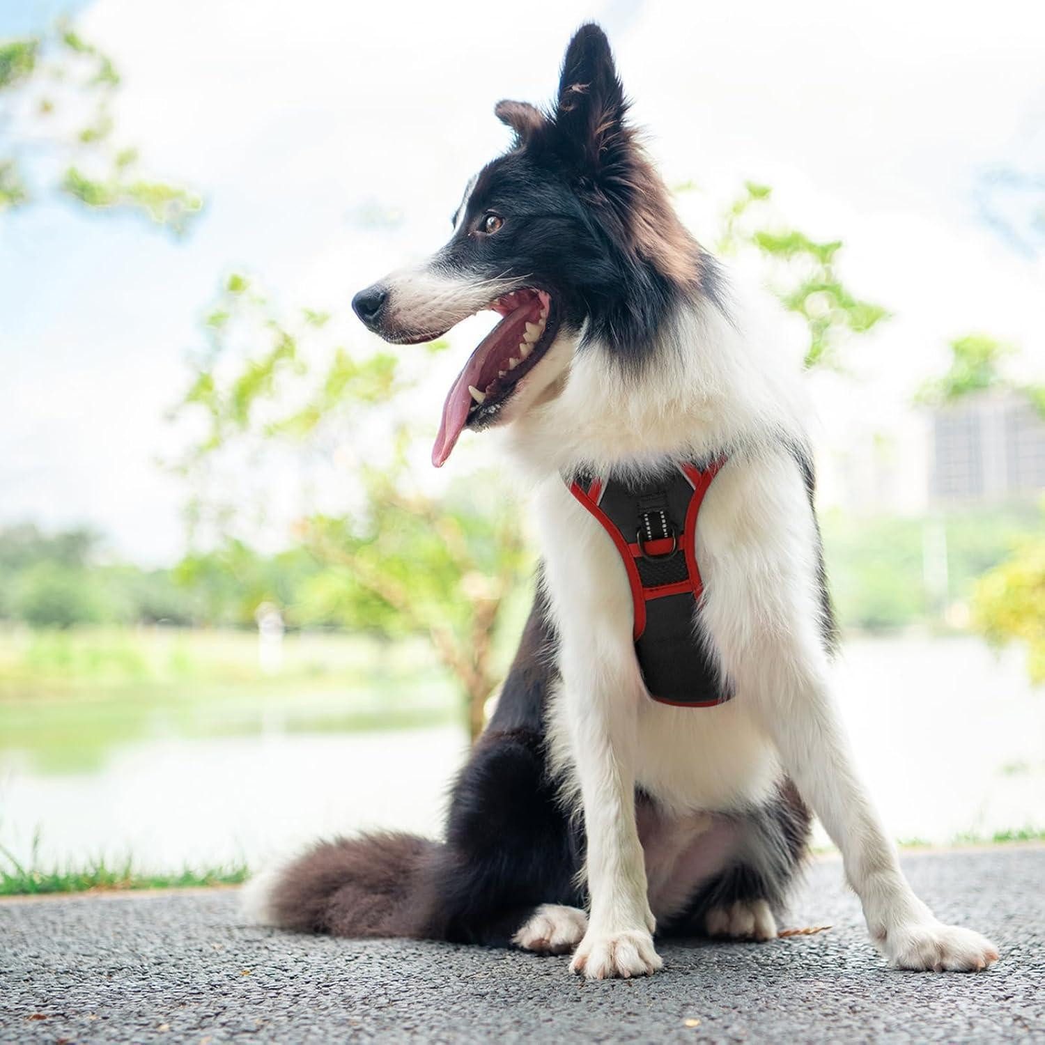 LuxusKollektion Hunde-Sicherheitsgeschirr Sicherheitsgeschirr verstellbar reflektierend Schwarz S